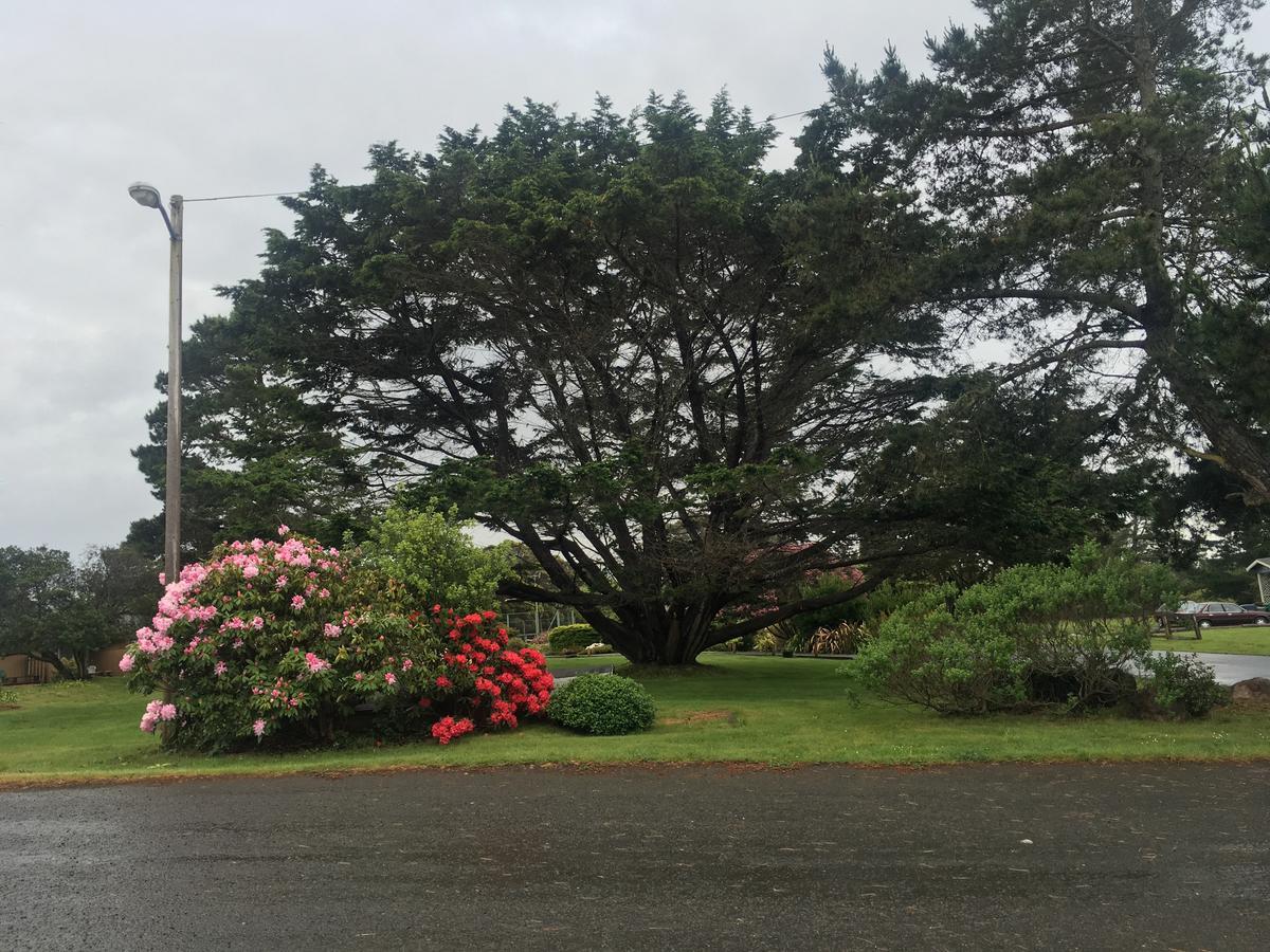 Pine Beach Inn Fort Bragg Exteriör bild